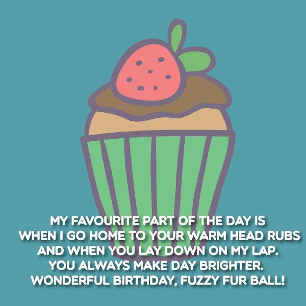 happy-birthday-cat-birthday-wishes-for-cats-02