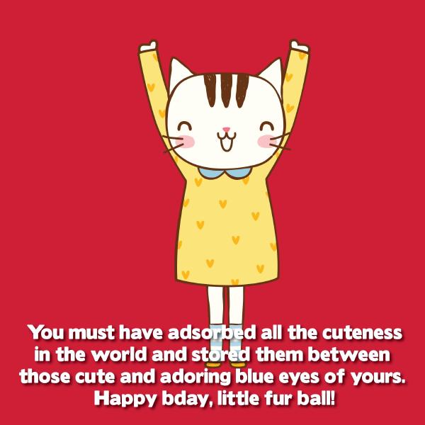 happy-birthday-cat-birthday-wishes-for-cats-05
