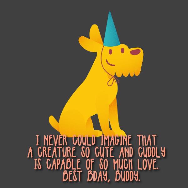 happy-birthday-wishes-for-dogs4