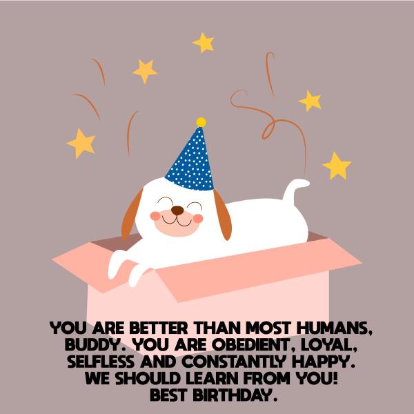 happy-birthday-wishes-for-dogs7